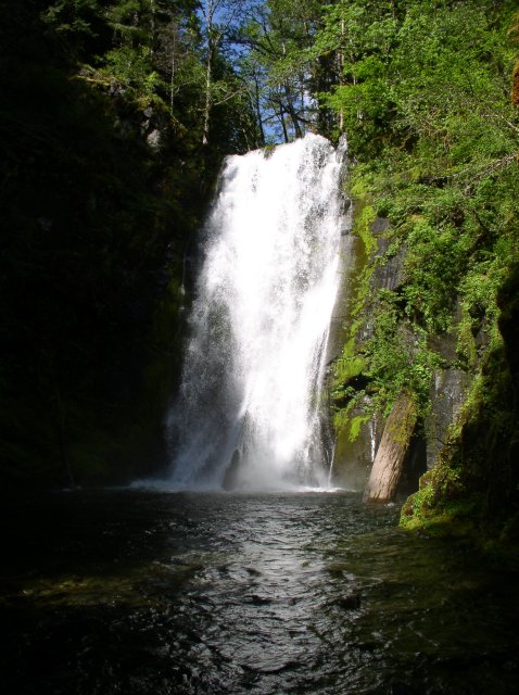 5.29.06 Siouxon Creek 035 